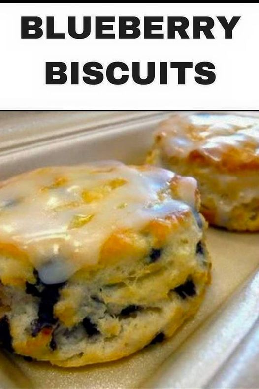 YUMMY BLUEBERRY BISCUITS
