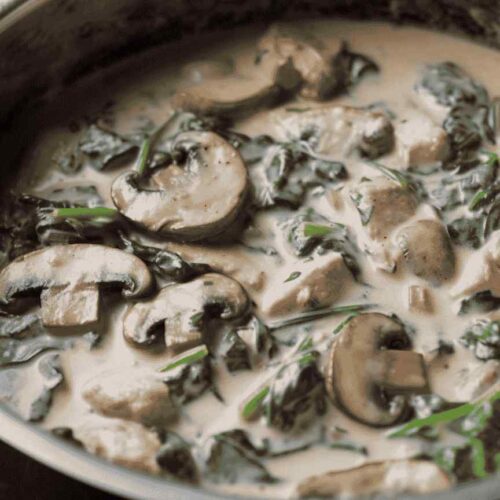 CHICKEN AND SPINACH IN CREAMY MUSHROOM SAUCE