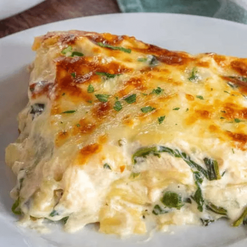 Chicken Alfredo Lasagna