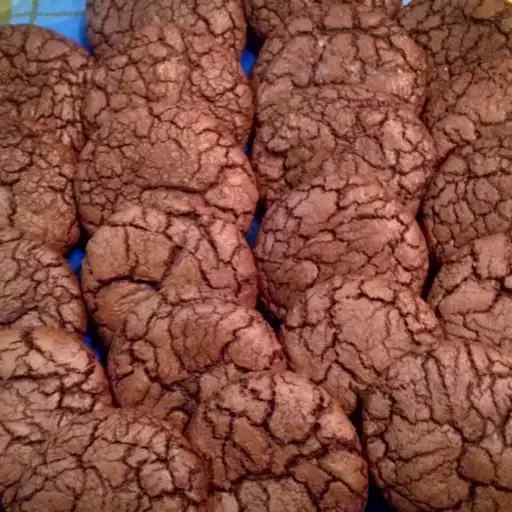 Ultimate Double Chocolate Cookies
