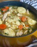 chicken and dumpling soup