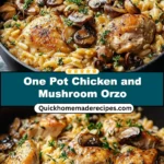 One Pot Chicken and Mushroom Orzo One Pot Chicken and Mushroom Orzo