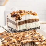 Turtle Lush Turtle Lush