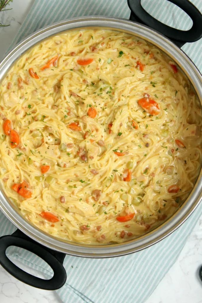 Bowl of Crack Chicken Noodle Soup with chicken, noodles, and veggies