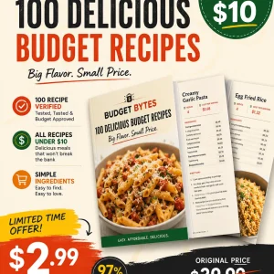 100 Recipes Under $10